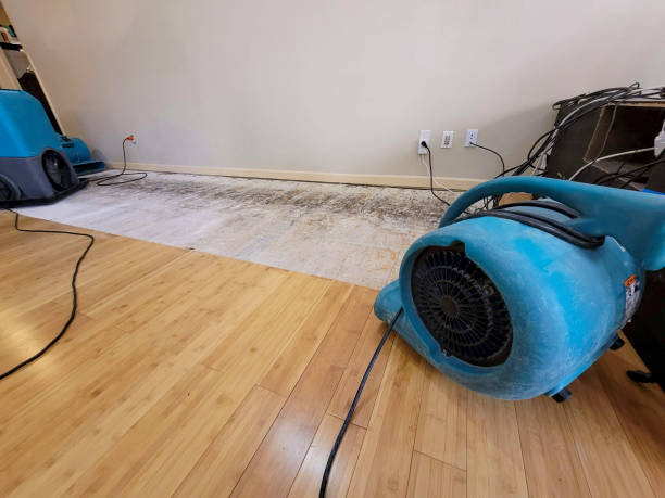 Professional Water Extraction technician working in Salem, SD